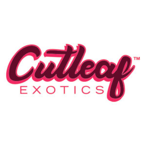 cutleaf-exotics-brand-logo-2-300x300